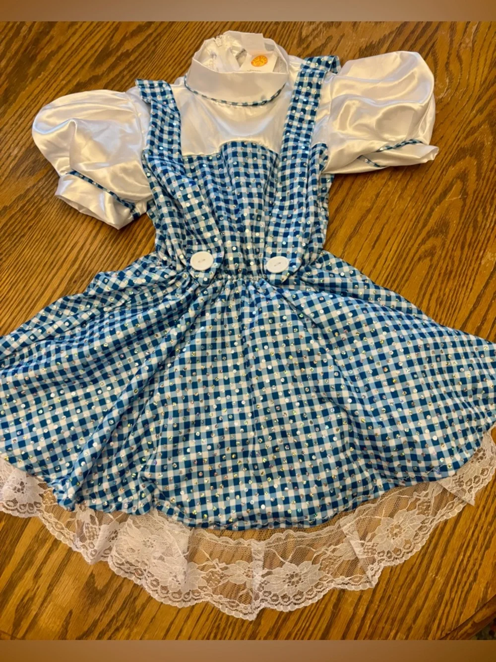 Classic Blue Gingham Kids Costume Dress with White Bodice